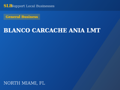 BLANCO CARCACHE ANIA LMT — General Business in NORTH MIAMI, FL