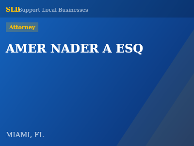 AMER NADER A ESQ — Attorney in MIAMI, FL