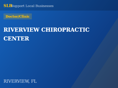 RIVERVIEW CHIROPRACTIC CENTER — Doctor/Clinic in RIVERVIEW, FL