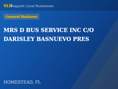 MRS D BUS SERVICE INC C/O DARISLEY BASNUEVO PRES — General Business in HOMESTEAD, FL