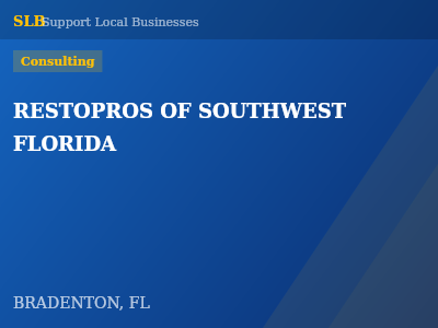 RESTOPROS OF SOUTHWEST FLORIDA — Consulting in BRADENTON, FL