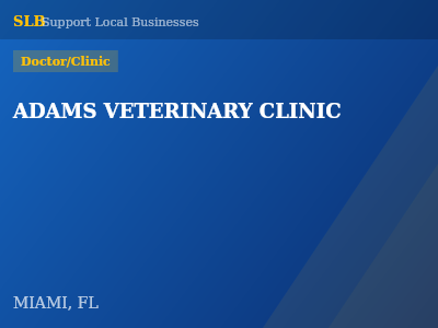 ADAMS VETERINARY CLINIC — Doctor/Clinic in MIAMI, FL