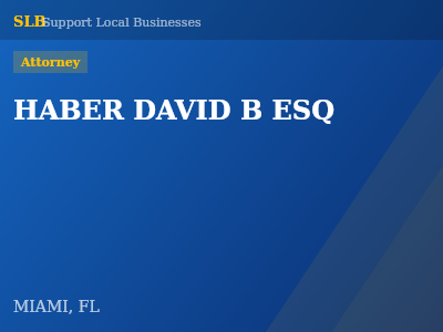 HABER DAVID B ESQ — Attorney in MIAMI, FL