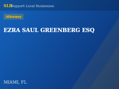 EZRA SAUL GREENBERG ESQ — Attorney in MIAMI, FL