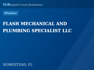 FLASH MECHANICAL AND PLUMBING SPECIALIST LLC — Plumber in HOMESTEAD, FL