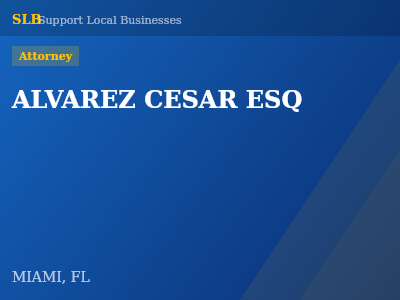 ALVAREZ CESAR ESQ — Attorney in MIAMI, FL