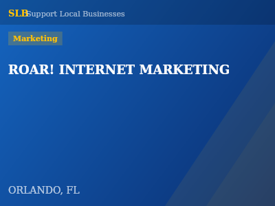 ROAR! INTERNET MARKETING — Marketing in ORLANDO, FL
