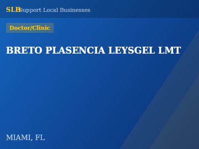 BRETO PLASENCIA LEYSGEL LMT — Doctor/Clinic in MIAMI, FL