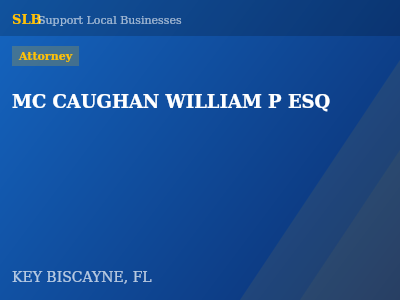 MC CAUGHAN WILLIAM P ESQ — Attorney in KEY BISCAYNE, FL