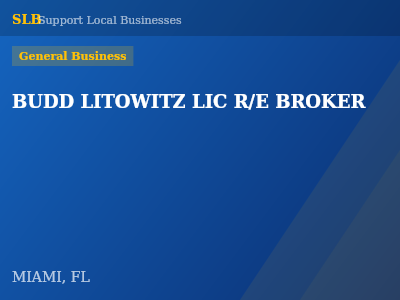 BUDD LITOWITZ LIC R/E BROKER — General Business in MIAMI, FL