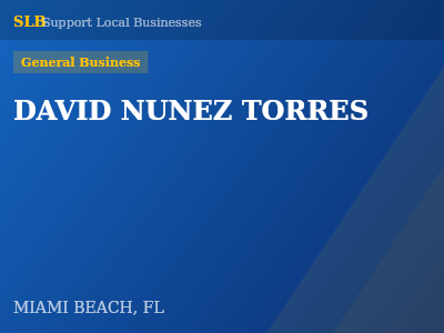 DAVID NUNEZ TORRES — General Business in MIAMI BEACH, FL