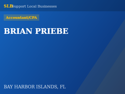 BRIAN PRIEBE — Accountant/CPA in BAY HARBOR ISLANDS, FL