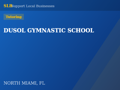 DUSOL GYMNASTIC SCHOOL — Tutoring in NORTH MIAMI, FL