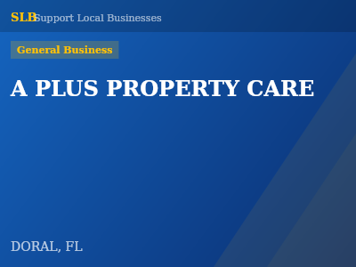 A PLUS PROPERTY CARE — General Business in DORAL, FL