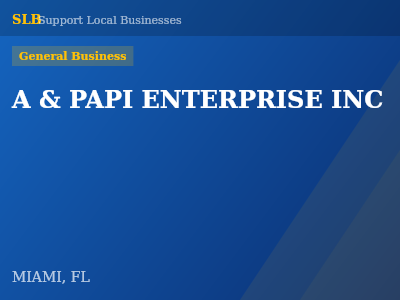 A & PAPI ENTERPRISE INC — General Business in MIAMI, FL