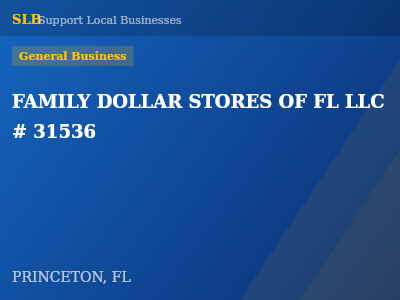 FAMILY DOLLAR STORES OF FL LLC # 31536 — General Business in PRINCETON, FL