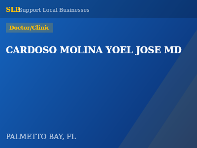 CARDOSO MOLINA YOEL JOSE MD — Doctor/Clinic in PALMETTO BAY, FL