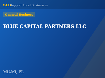 BLUE CAPITAL PARTNERS LLC — General Business in MIAMI, FL